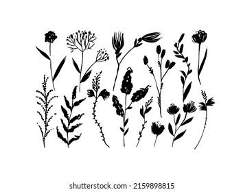 Wild flowers drawings collection. Grunge dry paint vector botanical elements. Hand drawn black meadow flowers. Abstract modern botanical silhouettes. Wild herbs and plants grunge clip arts.