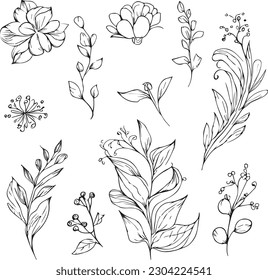 Wild flowers drawings, Wild flowers Set on the doodle art, coloring page vector sketch hand-drawn illustrations, and beautiful botanical element, Delicate Flowers Print. artistic flowers set.