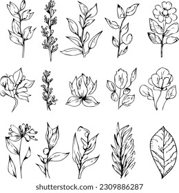 Wild flowers drawings, Wild flowers Set on the doodle art, coloring page vector sketch hand-drawn illustrations, and beautiful botanical element, Delicate Flowers Print. artistic flowers set.
