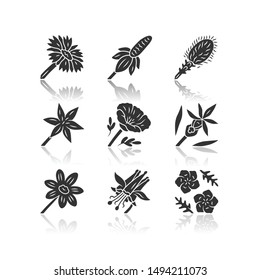 Wild flowers drop shadow black glyph icons set. Mexican hat, liatris, common star lily, poppy, calypso orchid, coreopsis, crimson columbine, blue flax, blanket flower. Isolated vector illustrations