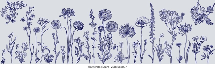 Wild flowers elements collection, vector separated. Classic, retro, vintage antique design. Wall paper, background.