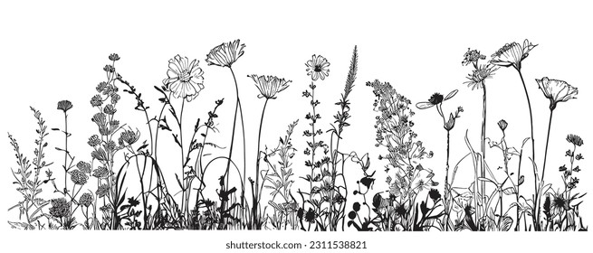 Wild flowers field border sketch hand drawn in doodle style