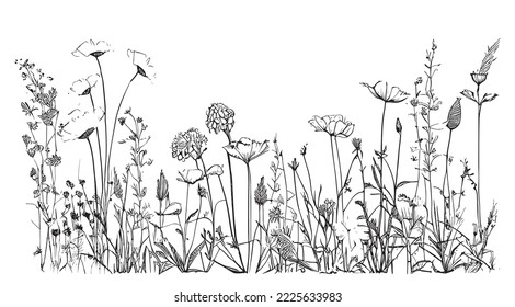 
Wild flowers in the field hand drawn sketch Vector illustration