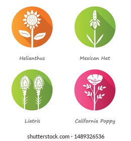 Wild flowers flat design long shadow glyph icons set. Helianthus, mexican hat, liatris, California poppy. Blooming wildflowers, weed. Spring blossom with inscription. Vector silhouette illustration