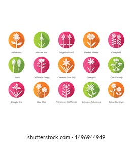 Wild flowers flat design long shadow glyph icons set. Wild flowers. Spring blossom. California wildflowers with names. Garden blooming plants. Botanical bundle. Vector silhouette illustration