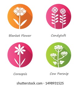Wild flowers flat design long shadow glyph icons set. Coreopsis, cow parsnip, candytuft, blanket flower. Blooming wildflowers, field weed with name inscription. Vector silhouette illustration