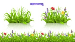 Wild Flowers, Forb Alpine Pastures. Spring Grass Seamless Pattern 3d Realistic Vector