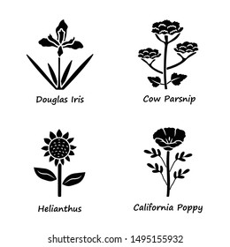 Wild flowers glyph icons set. Douglas iris, cow parsnip, helianthus, california poppy. Blooming wildflowers, weed. Field, meadow herbaceous plants. Silhouette symbols. Vector isolated illustration