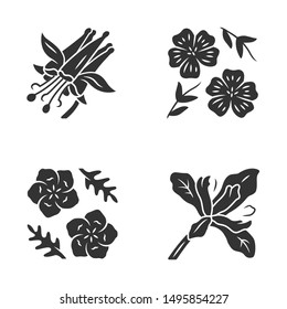 Wild flowers glyph icons set. Crimson columbine, linum, baby blue eyes, douglas iris. Blooming wildflowers, weed. Spring blossom. Field plants. Silhouette symbols. Vector isolated illustration