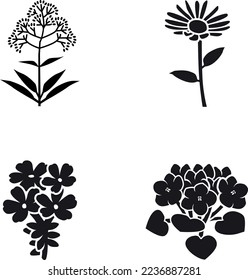 Iconos vectores de glifos de flores silvestres