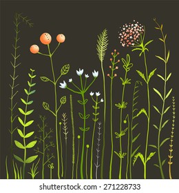 Wild Flowers and Grass Field on Black Collection. Rustic colorful meadow growth illustration set. Vector EPS10.