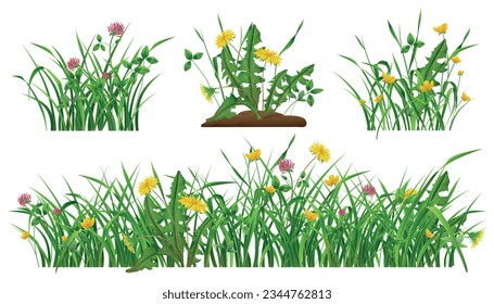 Wild flowers in green grass realistic set of dandelions clovers buttercups isolated vector illustration