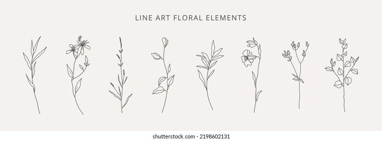 Wild flowers hand drawn. Collection of flowering plants, herbs, branches in line art style isolated on white background. Botanical vector illustration. 