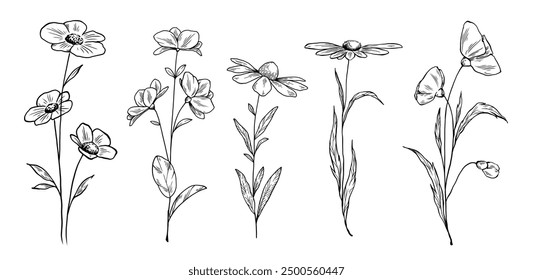Wild flowers hand drawn line art illustration. Various blooming flowers with leaves, bouquet elements