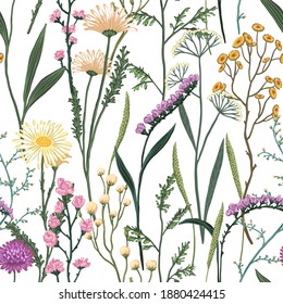 Wild flowers hand drawn vector seamless pattern. Abstract botanical sketches of field plants. Colored vintage floral background. Gentle design for wallpaper, fabric, print, decor, card, textile, wrap.