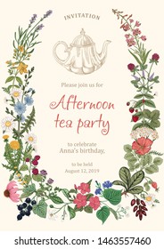 Wild flowers. Herbal tea. Vector illustration.