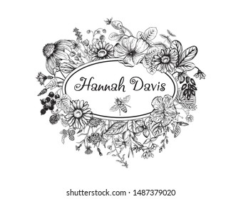 Wild flowers. Herbal tea. Vector illustration.