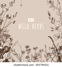 Wild flowers, herbs and berries. Hand drawn sketch. Vector illustration. Invitation, greeting card or background. Design for cosmetics, package tea, natural and organic product