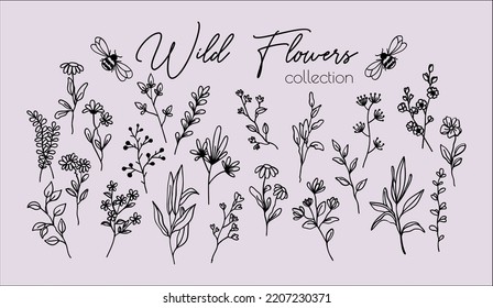 Wild flowers and herbs collection. Line Art style. Floral vector illustration on isolated background. For print and web.