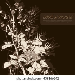 Wild flowers, herbs and fruits. Hand drawn sketch. Vector graphic illustration on dark background. Invitation, greeting card. Design for cosmetics, beauty salon, package tea and organic product
