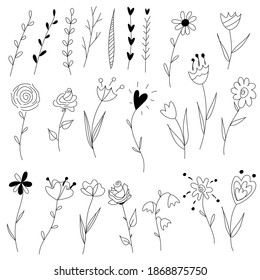 Wild flowers and herbs hand drawn doodle set. Floral decorative elements vector.