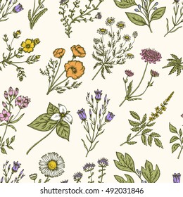 Wild flowers and herbs. Seamless floral pattern. Botanical drawing engraving style. Harebell, trillium, scabious, california poppy, daisy, chamomile. Vector vintage colorful illustration