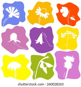 Wild flowers icons set. Vector illustration.