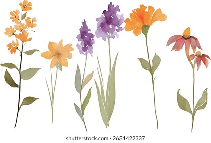 wild flowers isolated on transparent background Ideal for spring designs, wedding invitations, textile patterns, and nature-themed artworks.