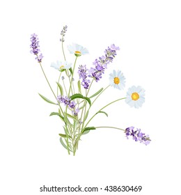 Wild flowers. Lavender and Daisy