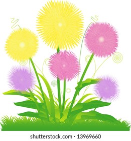 Wild flowers and leaves vector illustration