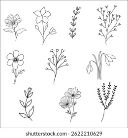 Wilde Blumen Linie Bündel, botanische Blume 