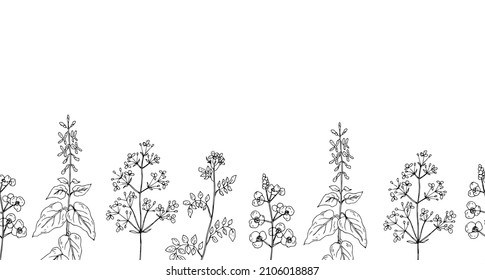 Flores silvestres. Dibujo de línea. Ilustración vectorial.