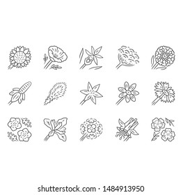Wild flowers linear icons set. Spring blossom. California wildflowers. Garden decorative blooming plants. Botanical bundle. Thin line contour symbols. Isolated vector outline illustrations