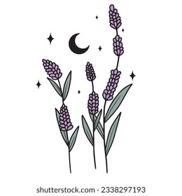 Wild flowers with moon and stars, magical colorful vector art