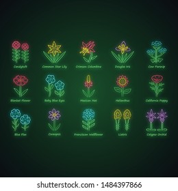 Wild flowers neon light icons set. Spring blossom. California wildflowers with names. Garden blooming plants, weed inflorescences. Botanical bundle. Glowing signs. Vector isolated illustrations