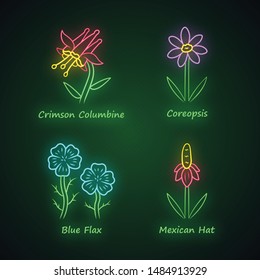 Wild flowers neon light icons set. Crimson columbine, coreopsis, blue flax, mexican hat. Blooming wildflowers, weed. Field, meadow plants. Glowing signs. Vector isolated illustrations