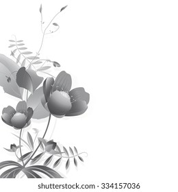 Wild flowers on a white background monochrome