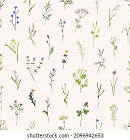 Wild flowers pattern. Seamless floral background. Repeating botanical print with spring blooms, plants and herbs for wallpaper and wrapping. Delicate flora texture. Colored flat vector illustration