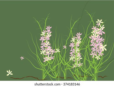 Wild flowers ,pink and purple wild flower  for background,cute