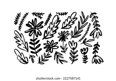 Wild flowers with plant leaves and branches isolated on white background. Brush drawn wild plants in childish style. Vector meadow flowers and herbs. Hand drawn botanical illustrations. 