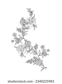 wild flowers and plants line art vector botanical illustrations. Trendy greenery hand drawn black ink sketches collection. Modern design for logo, tattoo, wall art, branding and packaging