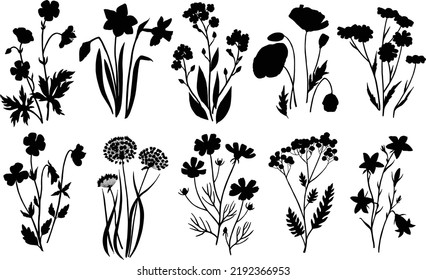 Wild flowers plants monkshood thistle poppy botanic collection vector Silhouettes