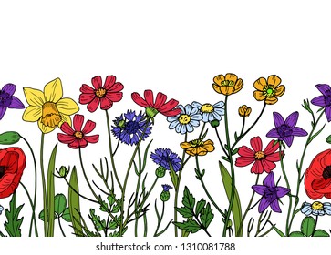 Wild flowers seamless border. Field of meadow herb floral vintage spring vector wallpaper