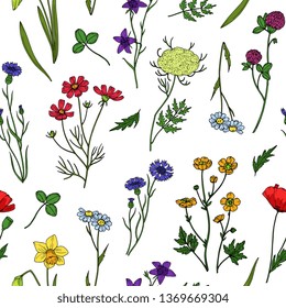 Wild flowers seamless pattern. Floral wildflower vintage wallpaper. Summer, spring botanical textile vector texture