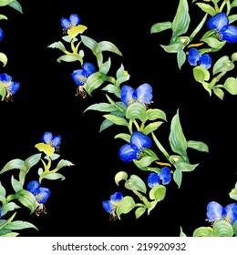 Wild flowers seamless pattern on black background vector illustration