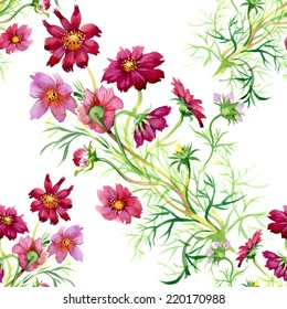 Wild flowers seamless pattern on white background vector illustration