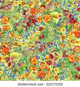 Wild flowers seamless pattern on white background vector illustration