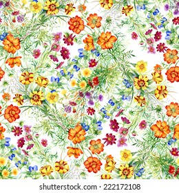 Wild flowers seamless pattern on white background vector illustration