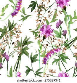 Wild flowers seamless pattern on white background vector illustration
