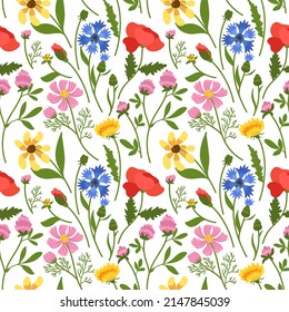 Wild flowers seamless pattern. Repeated meadow botany, beautiful floral texture, natural spring ornament, field plants isolated on white background. Decor textile, wrapping paper vector print